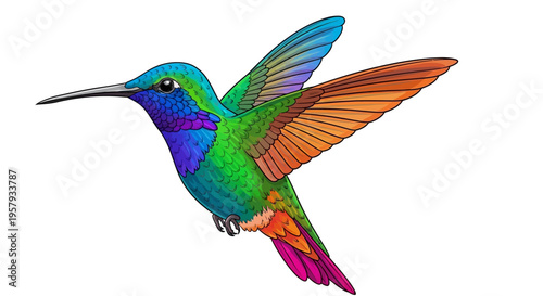 Colorful Hummingbird in Mid Flight.