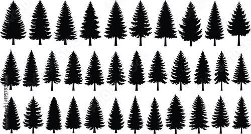 Pine tree silhouettes collection, forest nature icons, evergreen woodland design, decorative landscape artwork, seasonal outdoor symbol, flat vector illustration