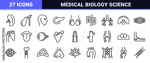 Minimalist Human Anatomy Geometric Line Art for Medical Research and Healthcare Education Featuring Clean Black Monoline Outline Symbols