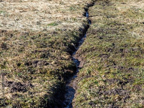 Принти на полотні A narrow muddy drainage ditch cutting through a grassy field, with shallow water flowing along the trench