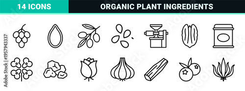 Organic Culinary Oil and Essential Botanical Extract Monoline Minimalist Geometric Outline Symbols for Professional Packaging and Menu Design