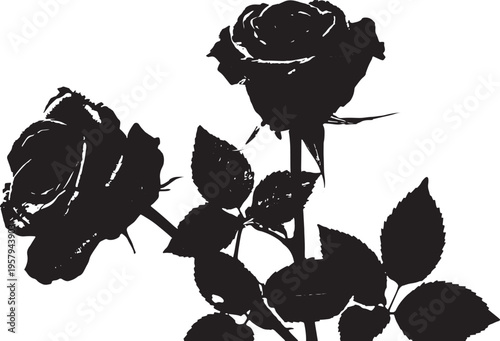 A minimalist black silhouette illustration of two blooming rose flowers with stems and leaves