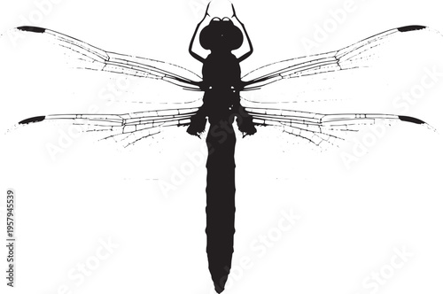 A high contrast black silhouette of a dragonfly with detailed wing patterns on a white background