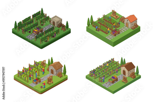 Detailed Isometric Illustrations of Vineyards and Wine Production
