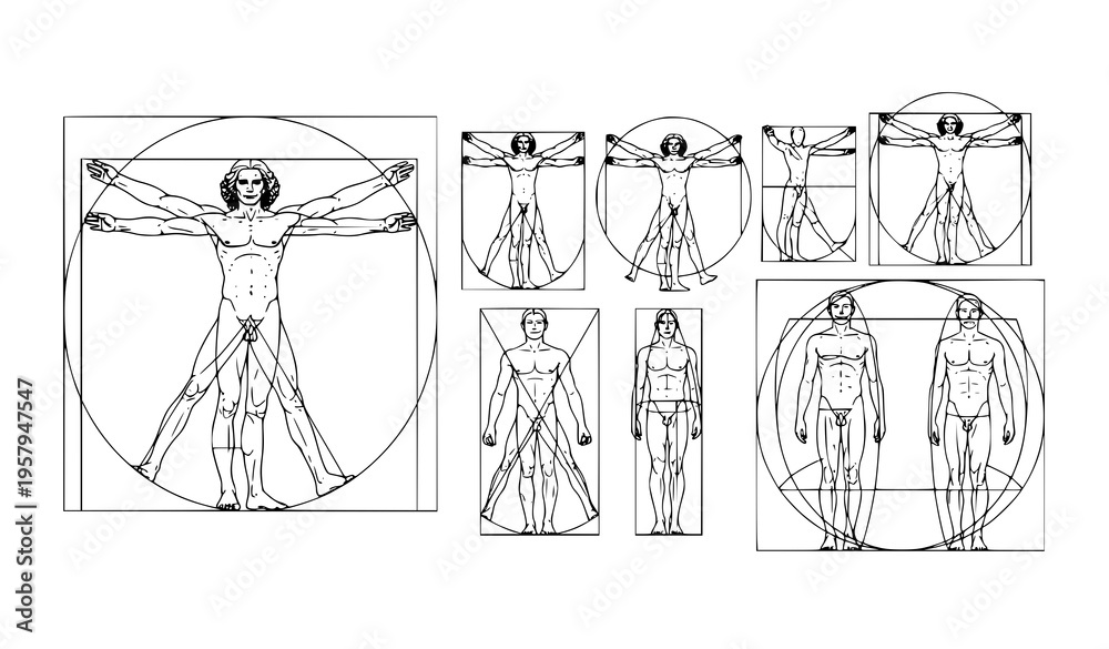 Fototapeta premium Human proportion study vector inspired by classical anatomy geometric design