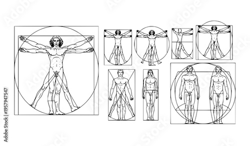 Human proportion study vector inspired by classical anatomy geometric design