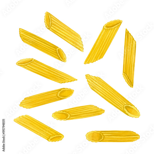 Watercolor penne rigate pasta illustration. Hand drawn italian macaroni isolated on white background. Used for restaurant menu design, kitchen decor, food packaging, organic branding, and culinary blo