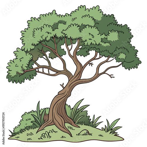 A tree with a thick trunk and a lush green canopy
