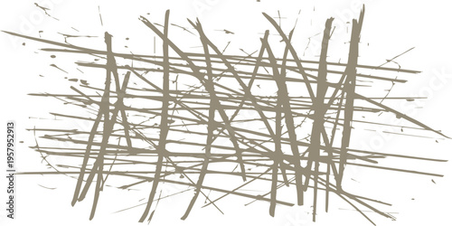 A crown of sharp thorns rests on a white background like a frozen winter branch stripped of its green leaves and blue sky