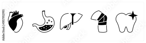 A set of 5 mix icons as heart, stomach, liver