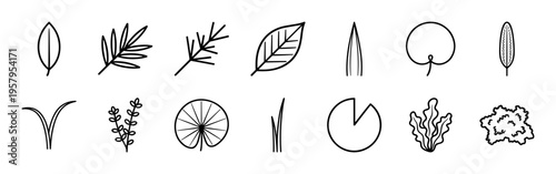 Botanical Leaf Outline Elements for Sustainable Design and Nature Branding featuring Minimalist Geometric Monoline Forest Flora Graphics