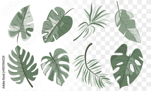Modern Botanical Leaf Vector Set Minimalist Monstera Palm Foliage. Professional Hand-Drawn Elements for Organic Branding, Eco-Packaging Wellness