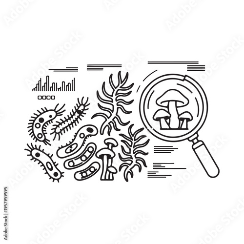Microorganisms and fungi under magnifying glass with bacteria and plants and graphs  scientific illustration