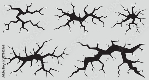  Neurons with dendrites and axons in a biological network
