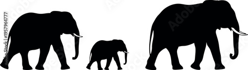 Silhouette of an elephant family walking together in profile