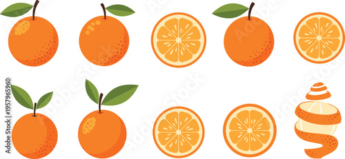Fresh Orange Fruit Collection with Whole, Sliced, and Peeled Citrus Elements Juicy Food Illustration Set for Healthy Eating, Packaging, and Kitchen Design