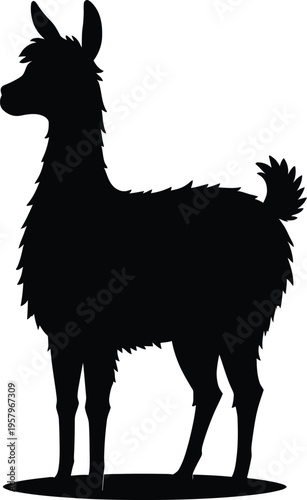 Cute cartoon a illustrator silhouette alpaca