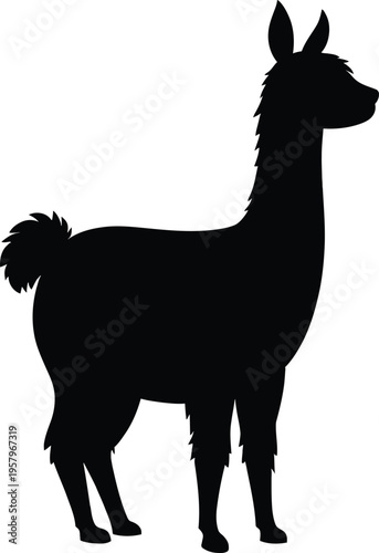 Cute cartoon a illustrator silhouette alpaca