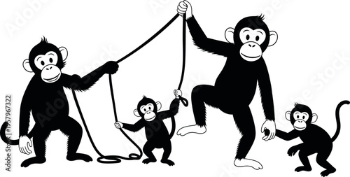 Monkeys playing with rope on white background