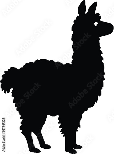 Cute cartoon a illustrator silhouette alpaca