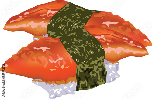 Unagi Nigiri Sushi Illustration