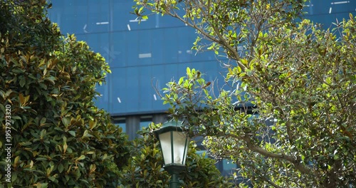 Light breeze is drifting white fragments as camera is descending to center lamp by blue facade