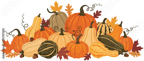 Autumn Harvest Banner with Assorted Pumpkins Gourds and Fall Leaves Isolated on White Background for Thanksgiving Horizontal Border and Seasonal Header Design