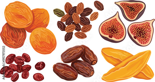 Assorted Dried Fruit and Nut Collection Featuring Dried Apricots, Dates, Figs, Raisins, Mango Slices, and Cranberries Isolated Vector Illustration for Healthy Snacks
