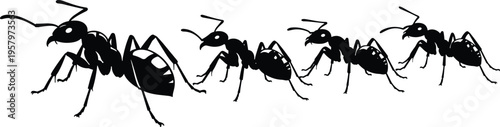 Ants walking in line silhouette illustration, insect trail movement design, cooperative nature artwork, 
