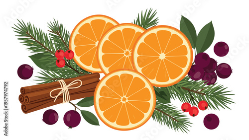 Artistic arrangement of fresh orange slices, cinnamon sticks, pine branches, and berries for a warm seasonal and holiday theme.