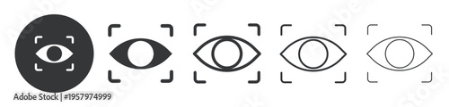 Eye Biometric Scan thin line and solid icon. Multi series icon. Web minimal icon