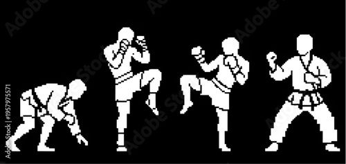 Martial Arts Fighter Poses Silhouette Set Including Karate and Muay Thai