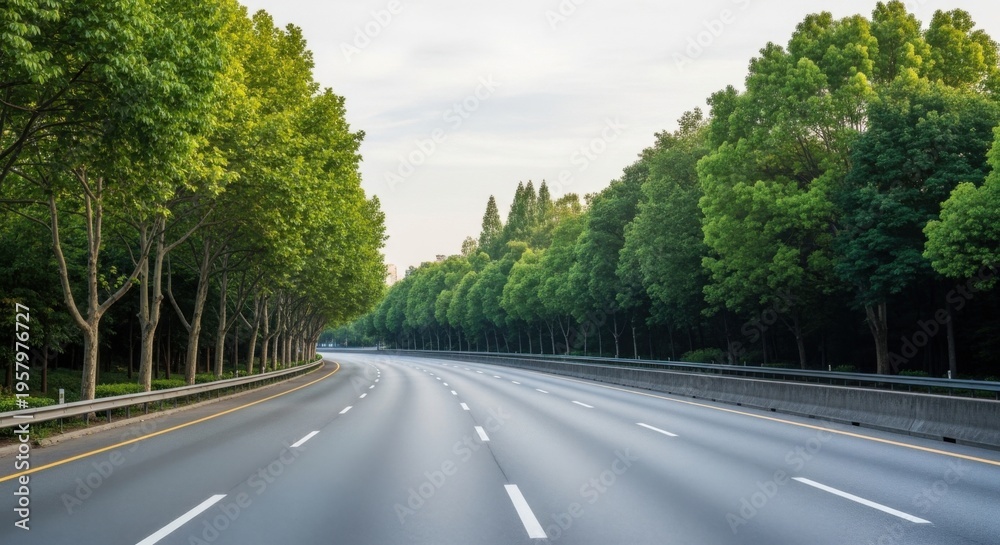 Obraz premium Vast Open Highway Lined With Lush Green Trees Under a Cloudy Sky