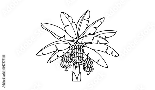 Minimal banana tree silhouette with fruit bunch tropical vector cartoon illustration isolated on white background