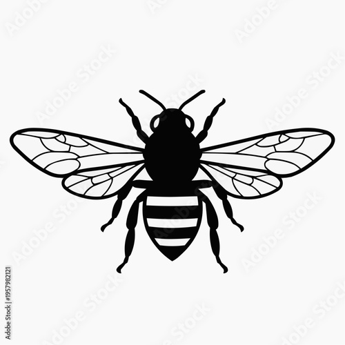 Elegant black and white silhouette of a buzzing honey bee, symbolizing nature's intricate design, industry, and the essential role of pollinators in our ecosystem