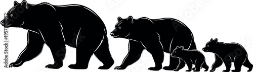 A family of bears walking together in a line