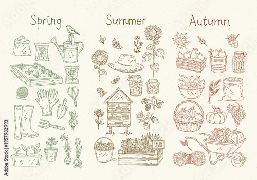 Hand-drawn vector farm elements set, seasonal: spring seedlings and tools, summer sunflowers and berries, autumn harvest of fruits and vegetables