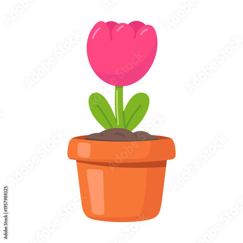 Adorable Pink Tulip Plant in a Terracotta Pot, Bright and Cheerful Home Decor, Springtime