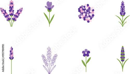 Lavender flower icon set. Cute minimal purple blooms in simple styles. Flat botanical illustration for patterns, icons, aromatherapy design, and decorative projects.
