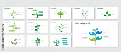 Tree infographic template for business growth stages and corporate process success.