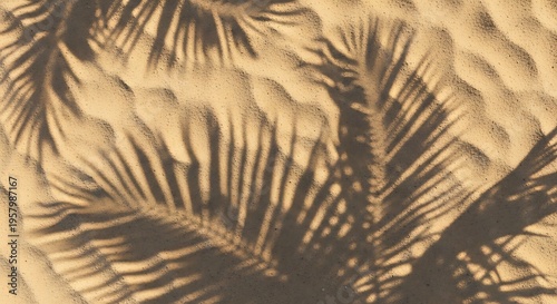 Intricate Shadows of Palm Tree Leaves Cast Upon Warm, Wavy Desert Sand, Creating a Serene and Abstract Natural Texture Background