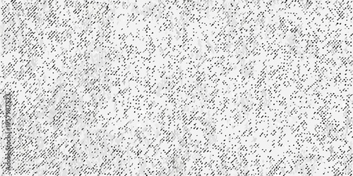 Abstract black and white noise texture resembling static or snow