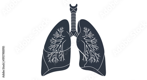 Detailed anatomical lungs illustration with intricate branching a dark silhouette