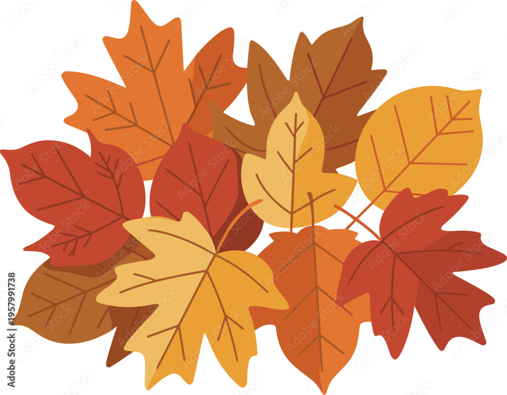 Fototapeta premium Pile of dry leaves colorful vector on white background.