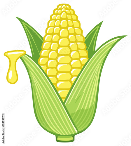 A vibrant ear of corn with bright yellow kernels and green husks dripping with golden liquid