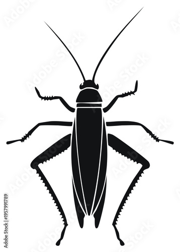 Black Insect Silhouette Top View Creepy Crawly Pest Outline Graphic Design Element