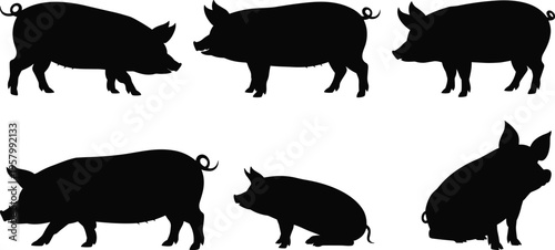 Collection of Vector Pig Silhouettes in Various Poses Including Standing Sitting and Walking Isolated on White Background for Farm Animal Agriculture and Pork Design