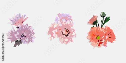 Three stylized carnation flowers in shades of pink and coral