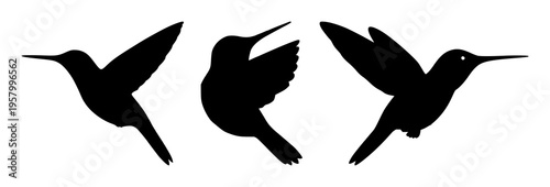 Hummingbird hovering silhouette set with simple line art design featuring outline, illustration, graphic elements with clean design and vector art
