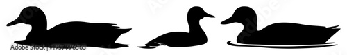 Duck swimming silhouette set with a minimalist vector illustration of a duck gliding through water featuring duck, water, birds with black and white and silhouette